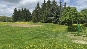 New Community Garden